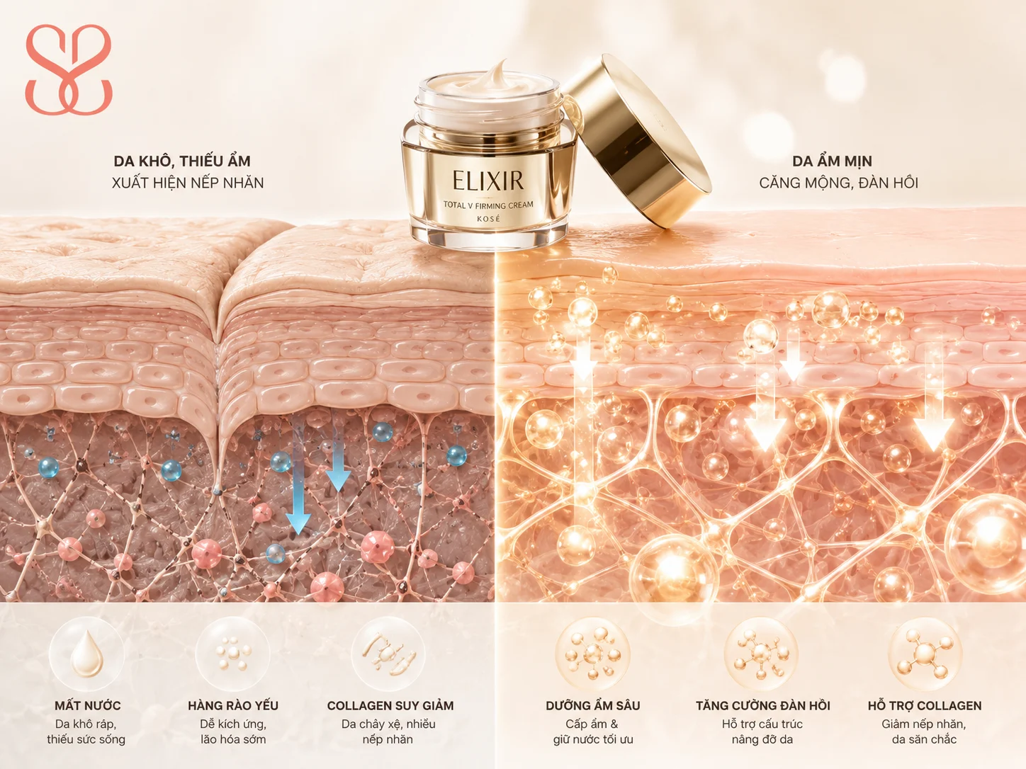 Cơ chế chăm sóc da của kem chống lão hóa Elixir