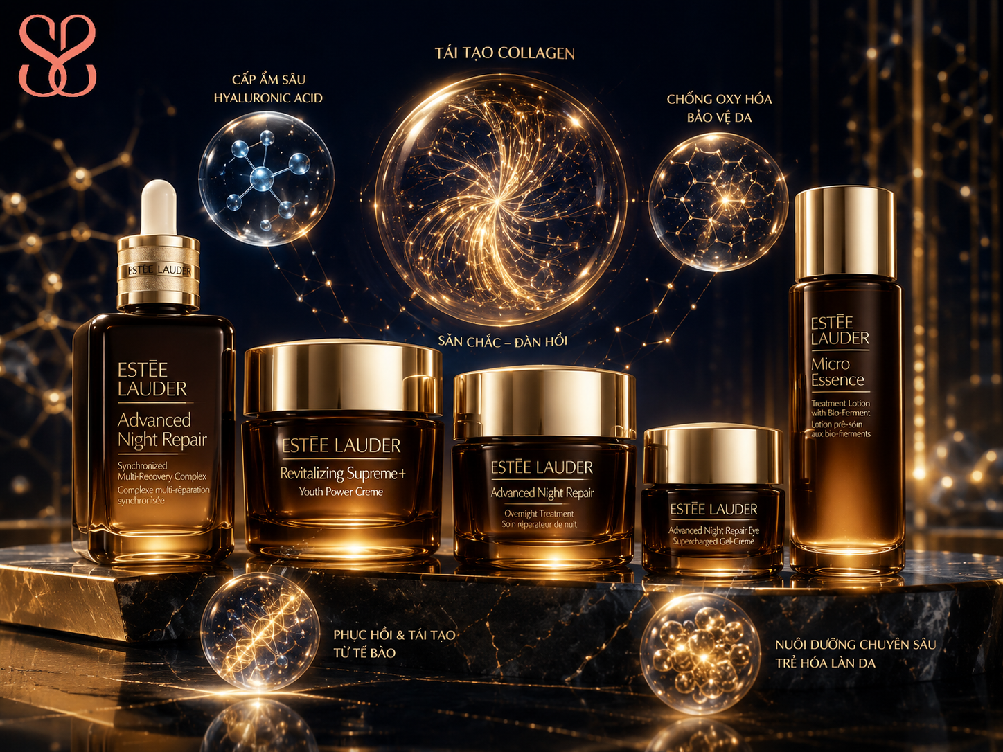 Top 7 loại kem chống lão hóa Estée Lauder đáng mua nhất 2026