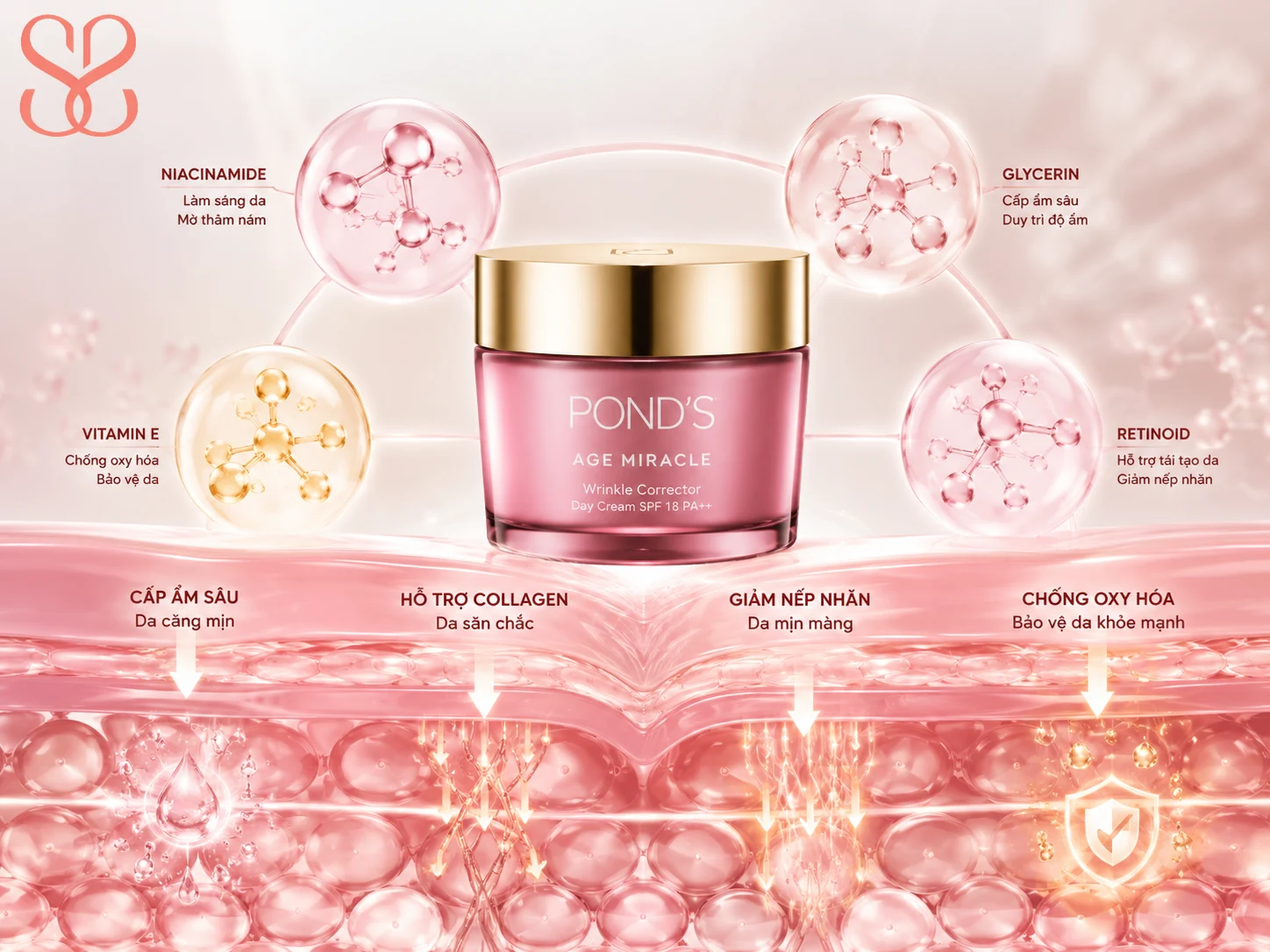 Kem chống lão hoá Pond’s có tốt không? Phân tích thành phần và cơ chế tác động