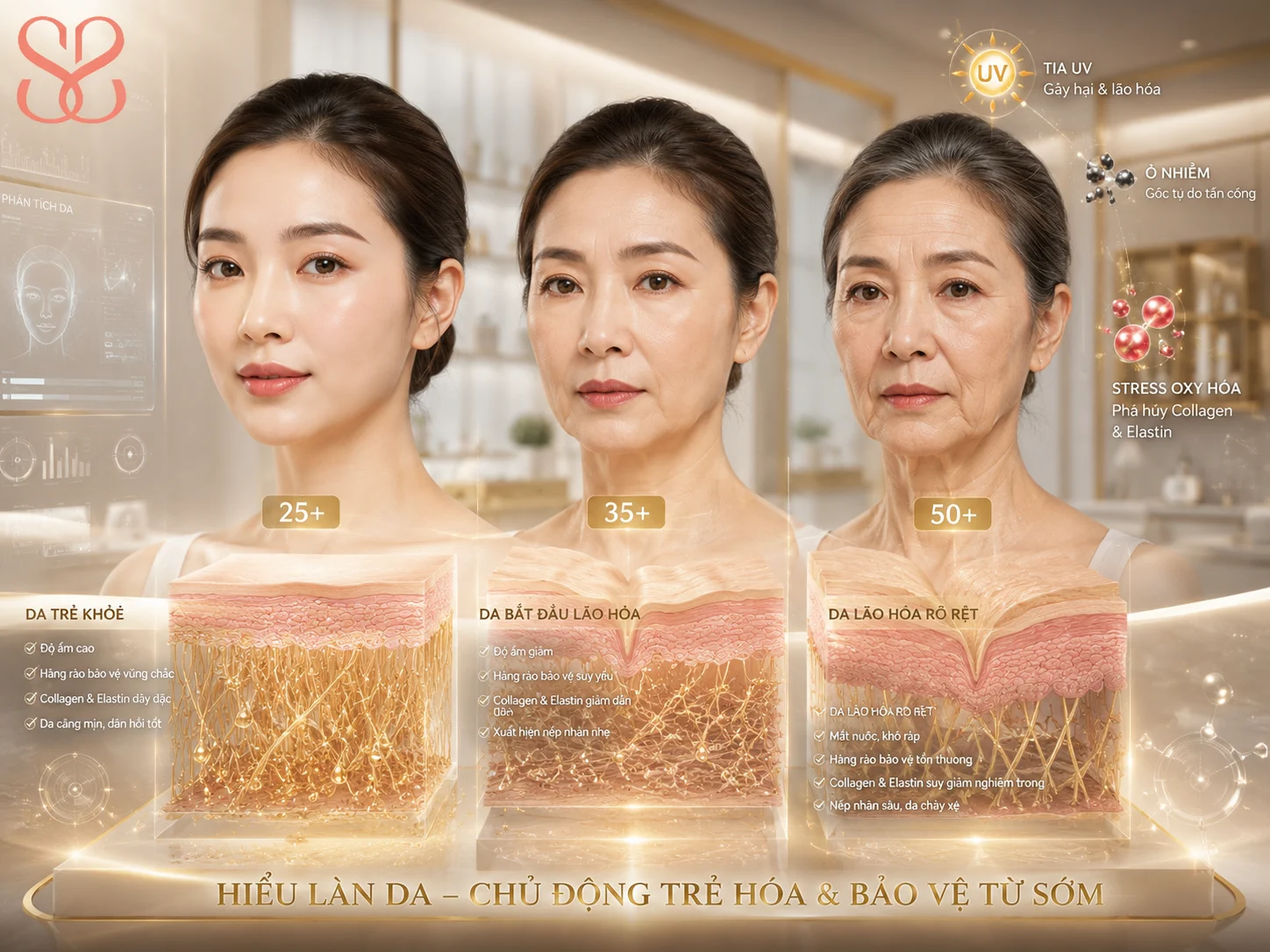 Vì sao làn da bắt đầu lão hóa từ 25 tuổi và cần chăm sóc sớm