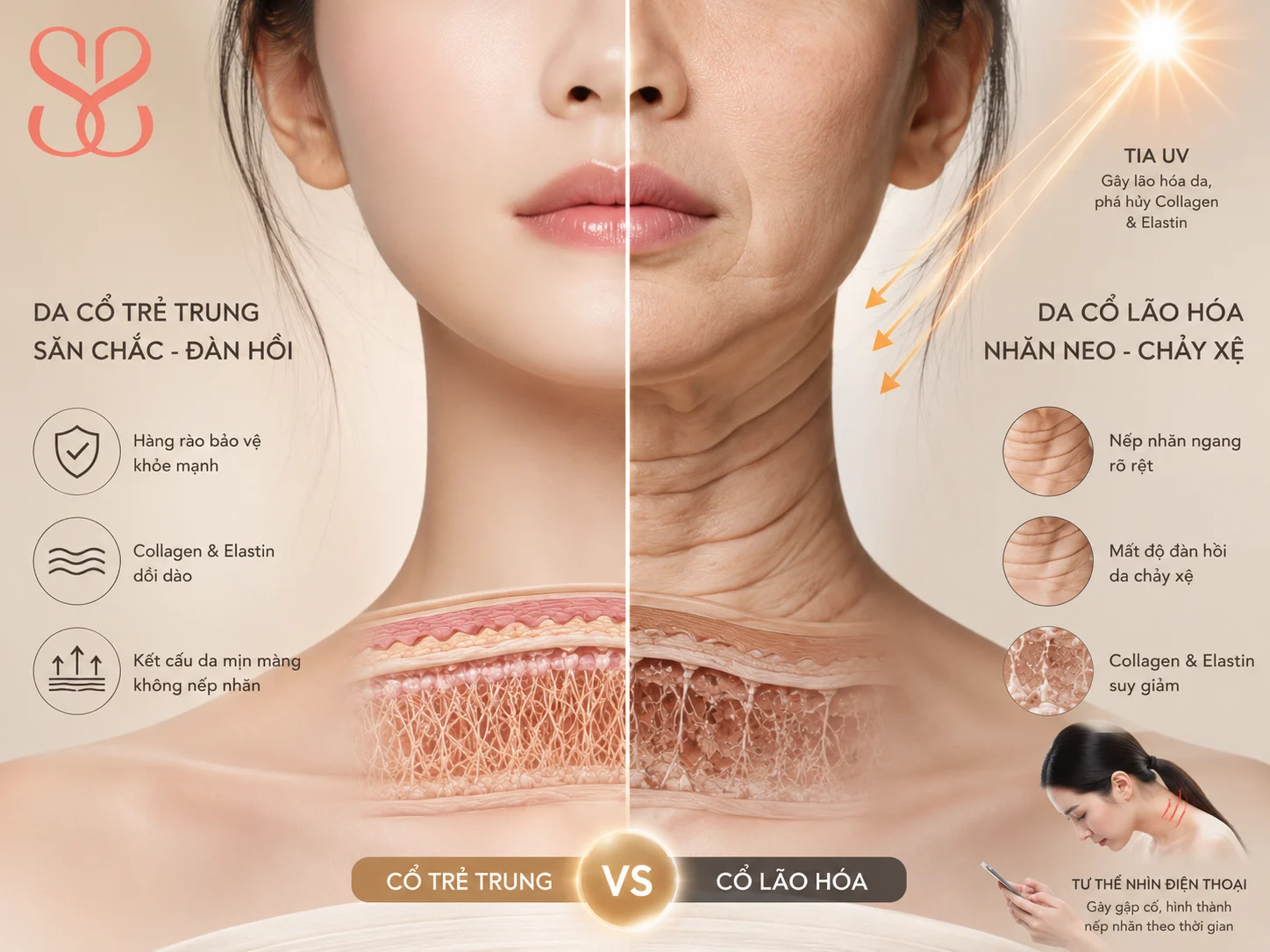 Vì sao vùng cổ lão hóa nhanh hơn da mặt?
