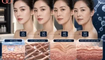 Da bắt đầu lão hoá từ khi nào và vì sao kem dưỡng ẩm chống lão hoá lại quan trọng?