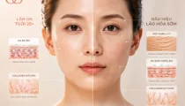 Vì sao da 25+ nên bắt đầu quan tâm đến kem dưỡng chống lão hóa?
