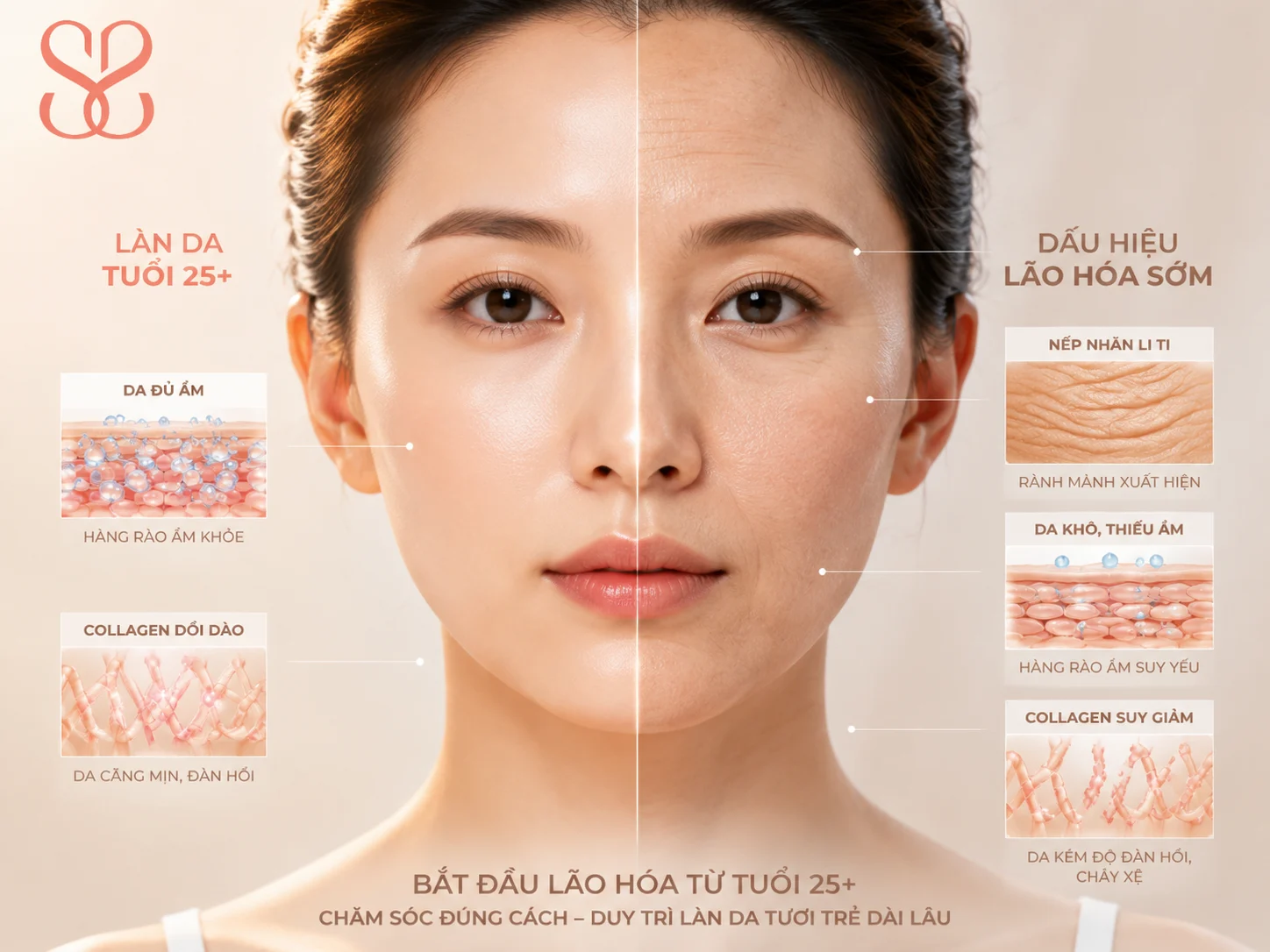 Vì sao da 25+ nên bắt đầu quan tâm đến kem dưỡng chống lão hóa?