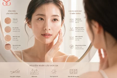 Da 25+ bắt đầu lão hóa như thế nào và vì sao cần dưỡng sớm?