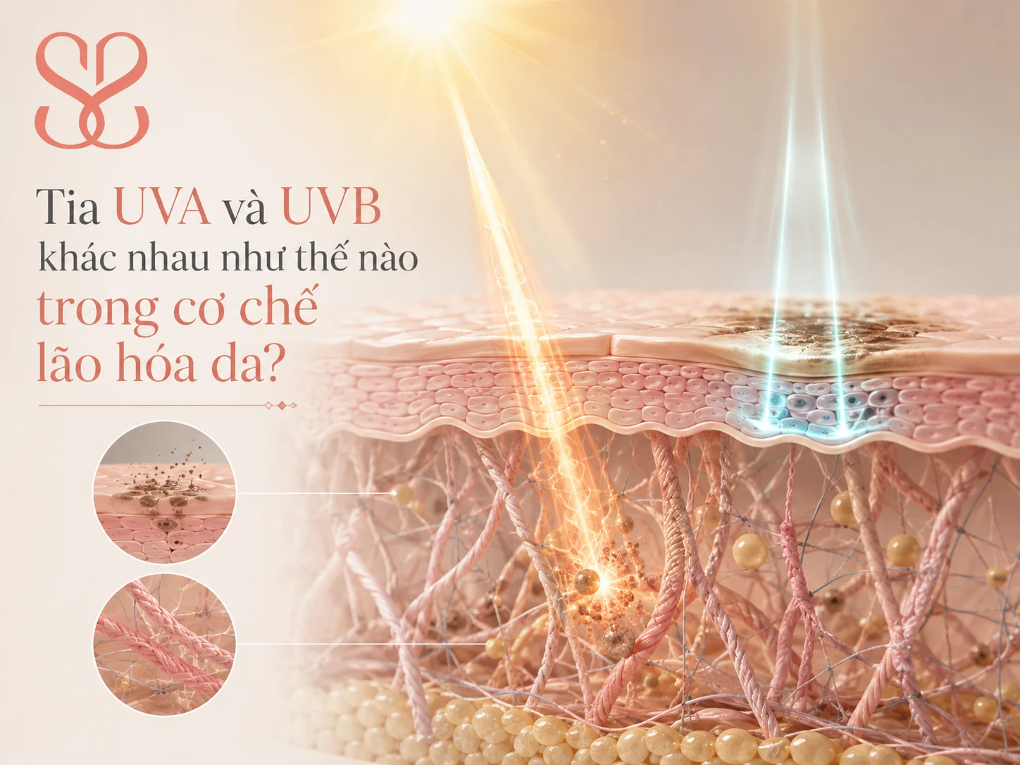 Tia UVA và UVB khác nhau như thế nào trong cơ chế lão hóa da? Tia UVA và UVB khác nhau như thế nào trong cơ chế lão hóa da?